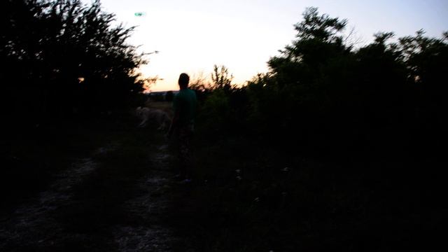 Игры с белой львицей .Тайган .Крым. смотреть онлайн