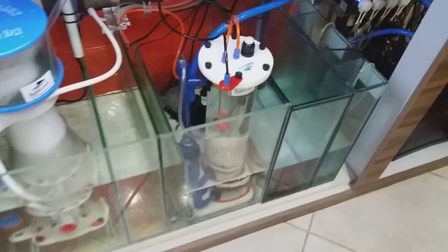 Skimmer Bubble Magus Curve D8 смотреть онлайн
