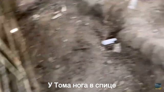 Свиноводство выгодно ли ещё? Свинья и корм в 2023. Цены.Кормления смотреть онлайн