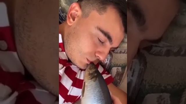Рыбка моя смотреть онлайн