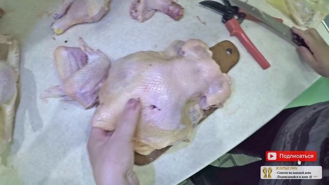 Забой бройлеров в домашних условиях видео Разделка курицы бройлера видео - zolotyeruki смотреть онлайн