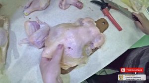 Забой бройлеров в домашних условиях видео Разделка курицы бройлера видео - zolotyeruki