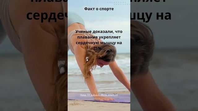 Интересный факт о спорте #спорт #зож #здоровоепитание #факты 20 смотреть онлайн