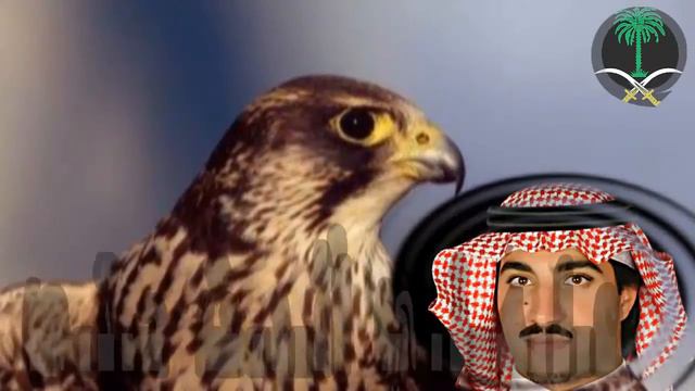 الامير طلال بن سلطان آل سعود (( الجبل إهداء )) смотреть онлайн