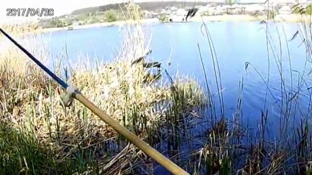 карась на летний кивок. смотреть онлайн