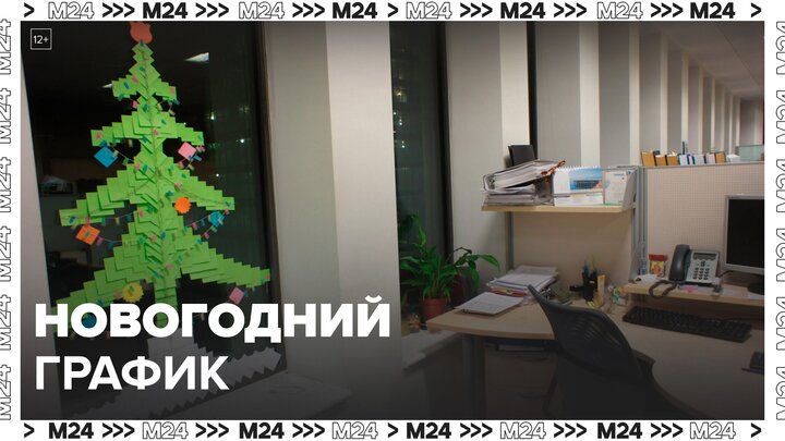 Социальные учреждения Москвы перейдут на особый график на новогодние праздники - Москва 24