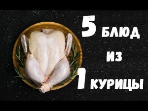 5 БЛЮД ИЗ ОДНОЙ КУРИЦЫ / что приготовить из курицы быстро