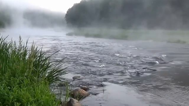 Медитация Манифестация Клиентов смотреть онлайн