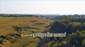 О. Aнoфpиeв- Kaкaя песня без баяна -караоке