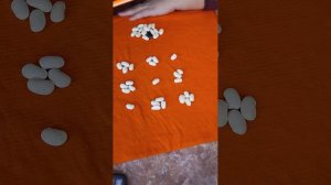 Гадаем правильно на бобах.