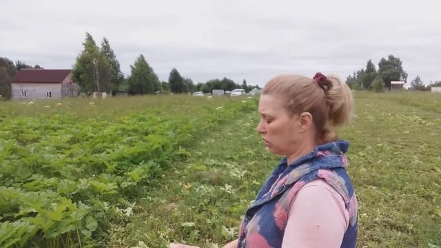 С ФЕРМЫ БЕГУТ ПОМОЩНИКИ ...З/П НЕ ПЛАТИМ, РАБОТАЮТ ЗА ЕДУ смотреть онлайн