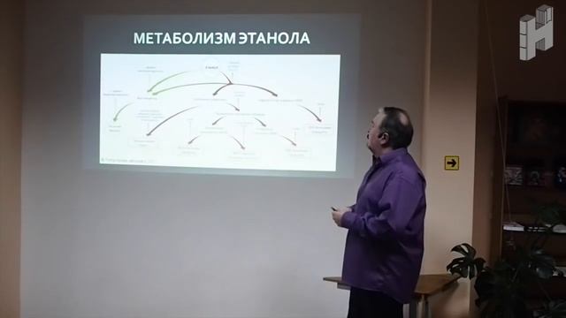 Токсикология похмелья смотреть онлайн