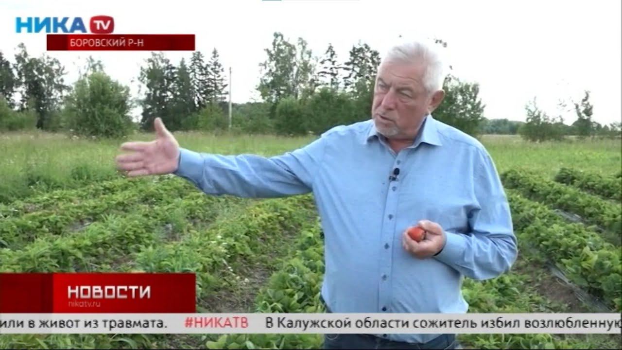 Супруги Колбеевы посвятили жизнь ягодам смотреть онлайн