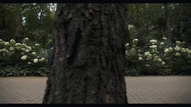 5.0.9.20 Сергей и Мария Clip смотреть онлайн