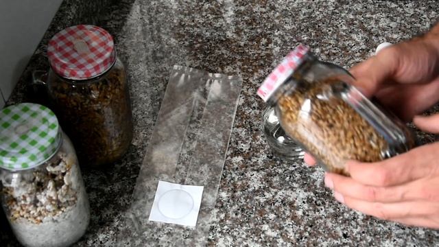 ?G2G (grain to grain) GRANO A GRANO. Colonización de micelio más rápida смотреть онлайн