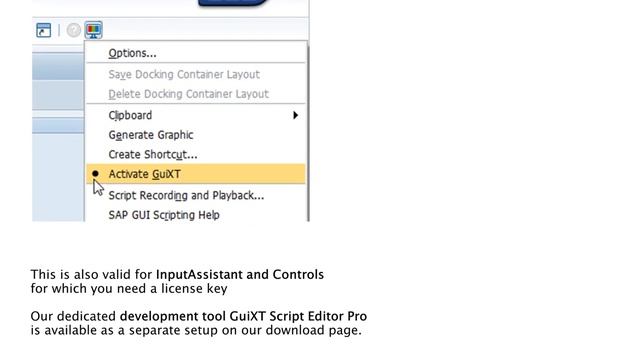 Introducing GuiXT tools for SAP UI simplification and efficiency. смотреть онлайн