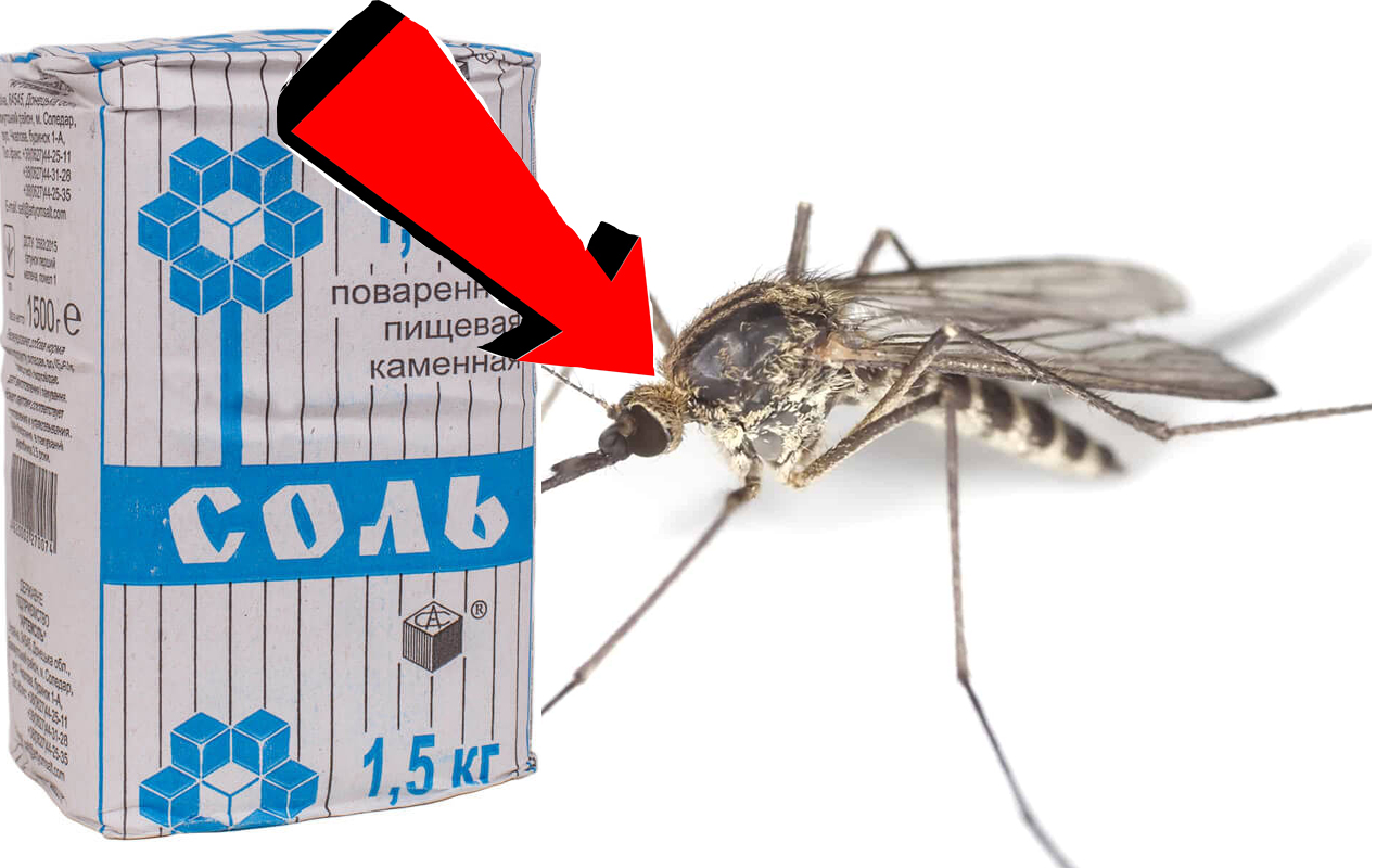 ПОЛЕЗНЫЕ СОВЕТЫ