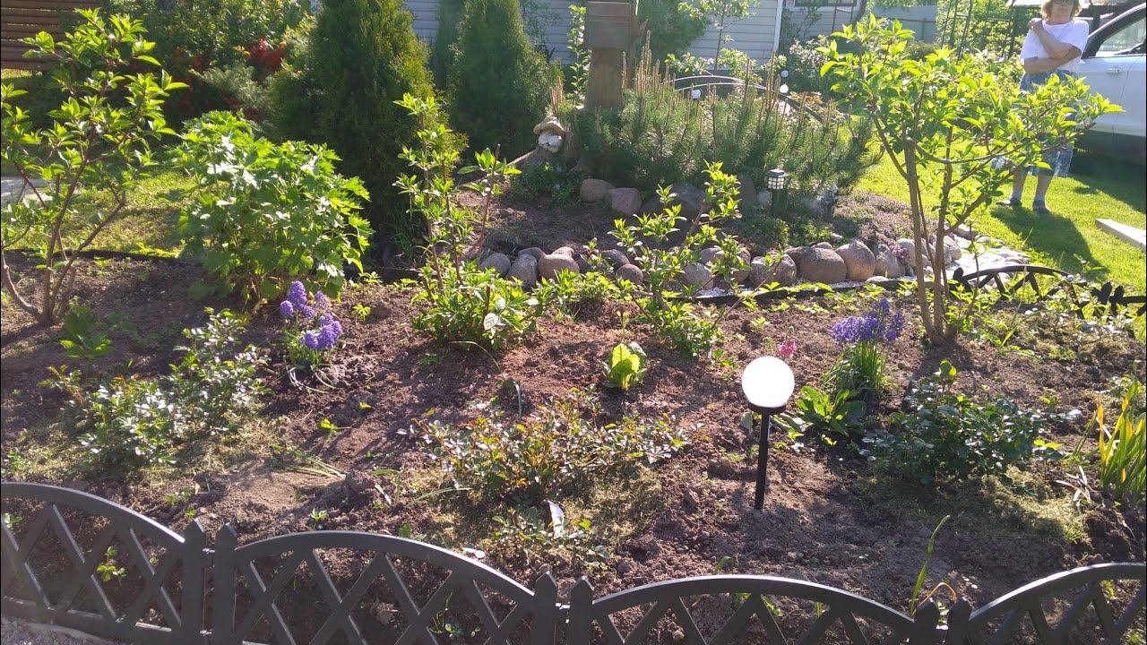 Мой сад на 4 июня смотреть онлайн