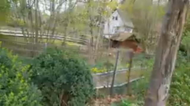 Прогулка по дворцовому комплексу Ludwigsburg. смотреть онлайн