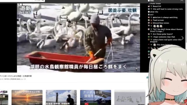 Vtuber Bear Makes Bird Sounds?! (Beatani Ch) смотреть онлайн