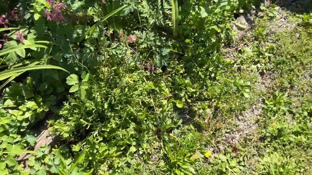 Неважные люди которые хотят жить в аду