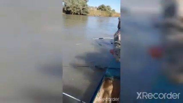 Рыбалка в низовьях Волги смотреть онлайн