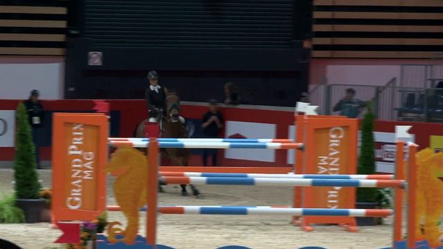 Raphaelle Dupont et Mister Ahorn - Equita Lyon GP1m40 2013 смотреть онлайн