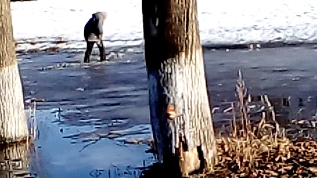 VID_20170312_162500 смотреть онлайн