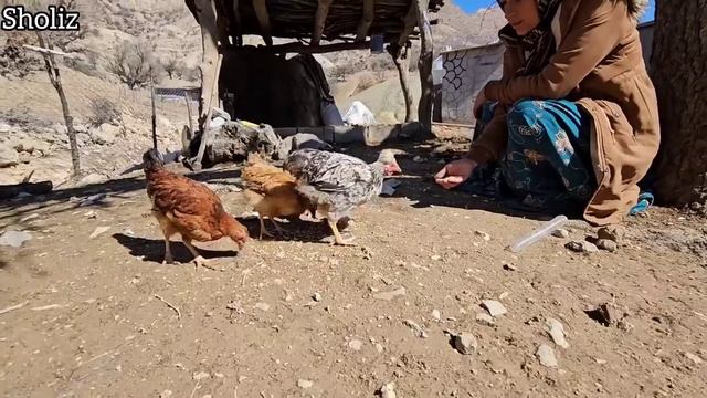 Nomadic Building Adventures: Construction And Culinary Delights With Narges