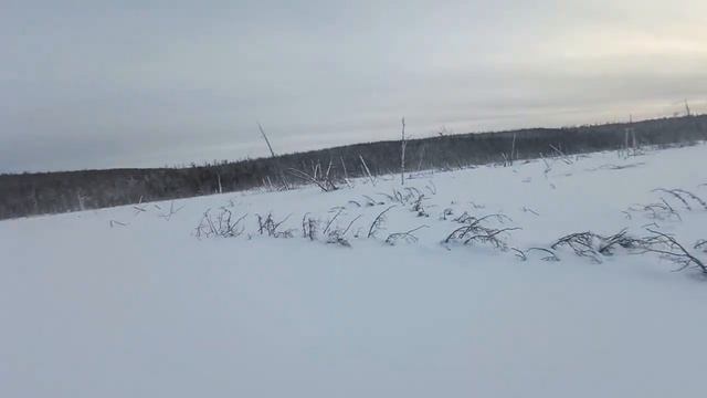 Крупная щука на жерлицу Ангара. смотреть онлайн