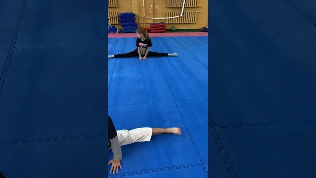 Оцениваем шпагат #тхеквондо #тхэквондо #taekwondo смотреть онлайн