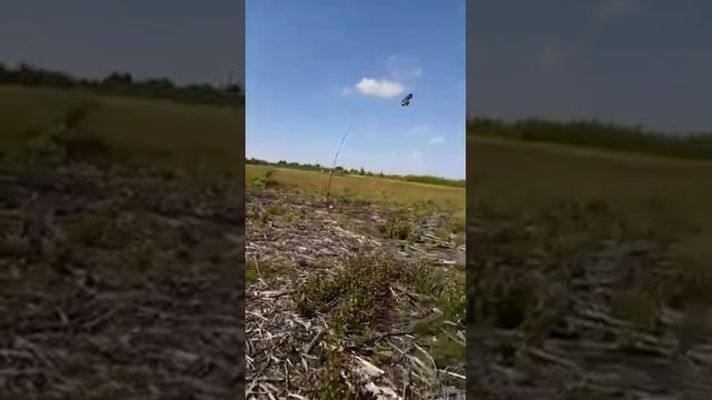 Кондор - защита полей от птиц смотреть онлайн