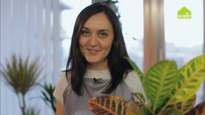 КОДИЕУМ ПЕТРА: как правильно ухаживать и пересадить // Ухаживаем за комнатными растениями