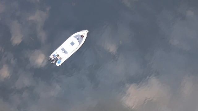Сибирские леса. KrasBoat 830 смотреть онлайн