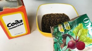 Нужно ли замачивать свеклу перед посадкой