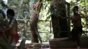 Аборигены, Австралия