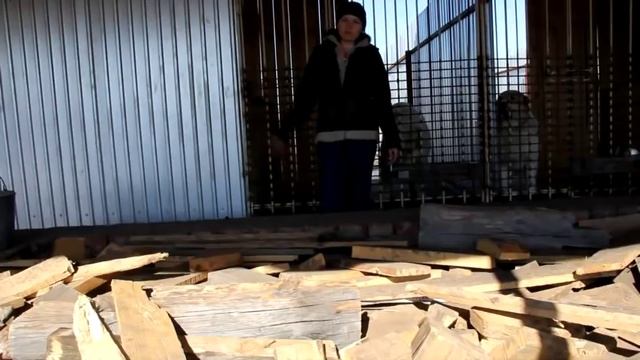 Один день из жизни питомника ТИМЕРТАШ - апрель 2015 смотреть онлайн