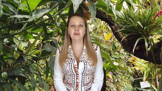Анекдот про быка и льва. смотреть онлайн