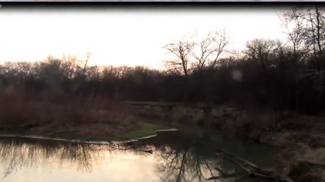 Где разводили змей в Чечне смотреть онлайн