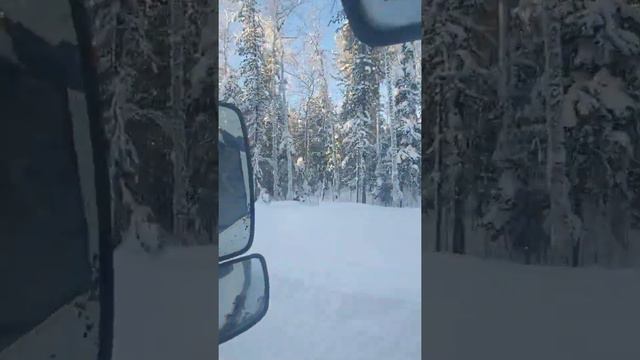 рейс в тайгу на лесовозе