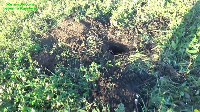 УРА !!! НАЧАЛОСЬ !!! смотреть онлайн