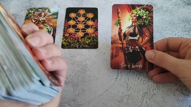 КАРТА ДНЯ 31 ОКТЯБРЯ 2023 ГОДА смотреть онлайн