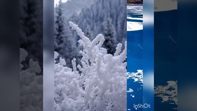 Моя родина Кыргызстан смотреть онлайн