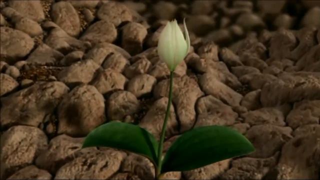 Я могу лишь представить. смотреть онлайн