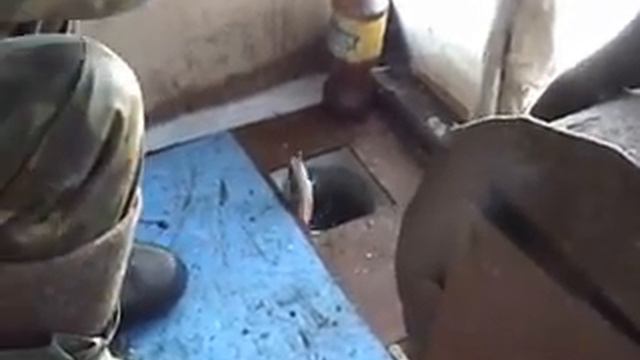 Дубровное Житейские Будни смотреть онлайн