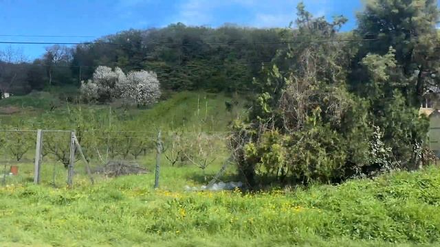 Нови-Сад: культурная столица Сербии смотреть онлайн