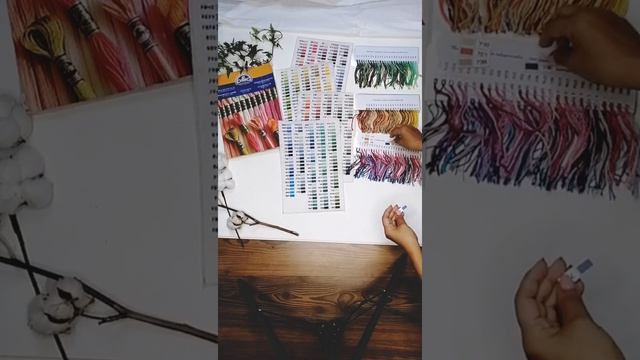 Живая карта дмс. Варианты, удобство, цены. смотреть онлайн