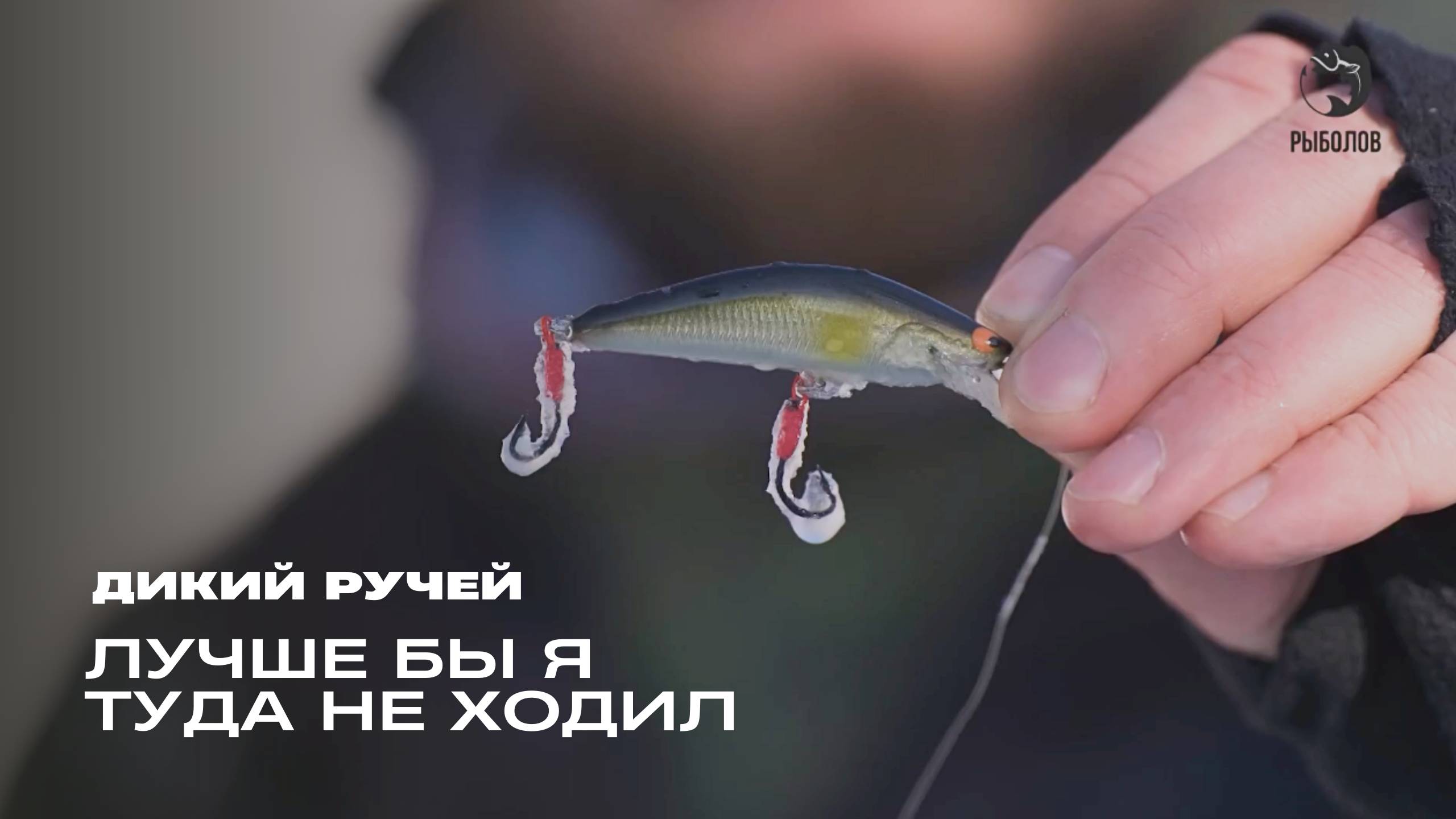 Лучше бы я туда не ходил. Дикий ручей смотреть онлайн
