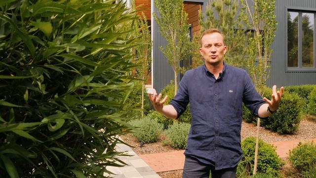 Как построить бизнес в благоустройстве? Пути развития и карьера в ландшафтном бизнесе. смотреть онлайн