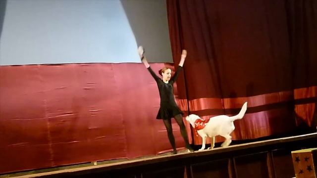 Испанский танец с собакой - Настя и Малави смотреть онлайн